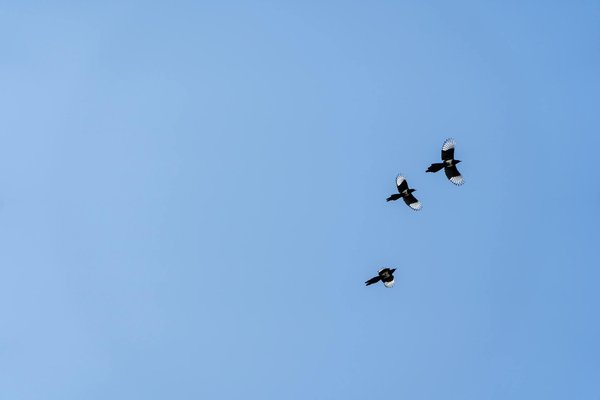 Le meilleur moment pour une liposuccion : quand planifier votre opération